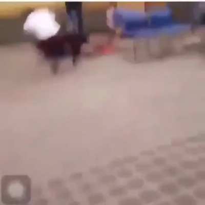 Never Give up