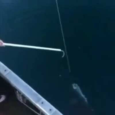 Pescando😎