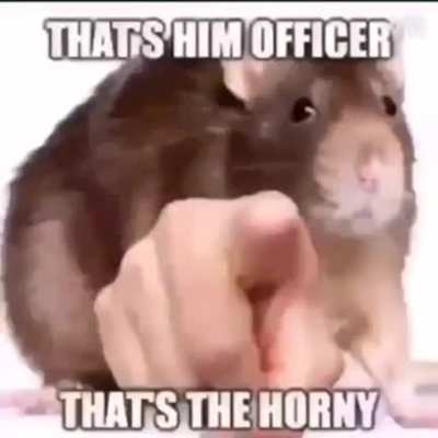 Anime porno
