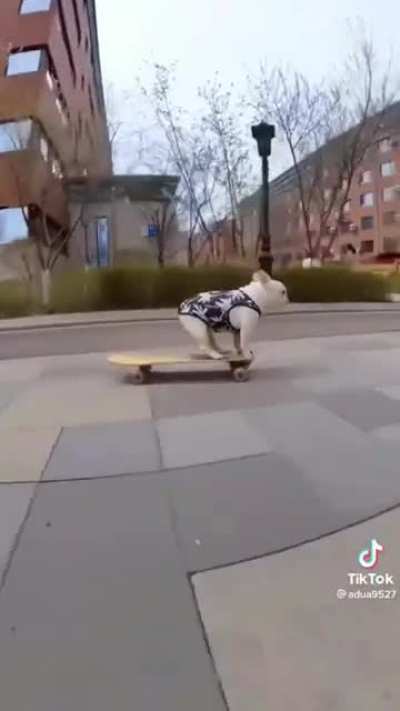 This little guy skateboards better than me
