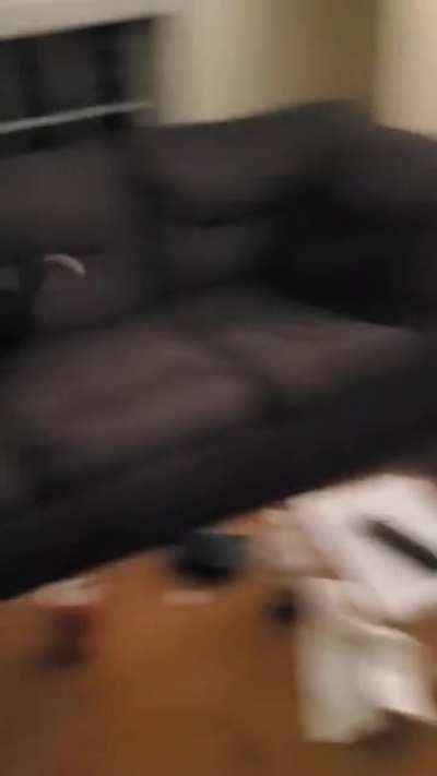 My dog does this every day
