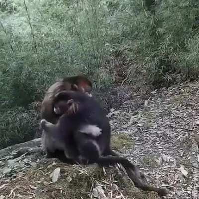 Обнимашки