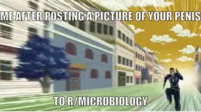 haha get it?
