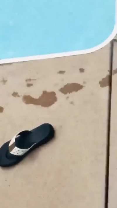 WCGW Climbing On A Pool Slide