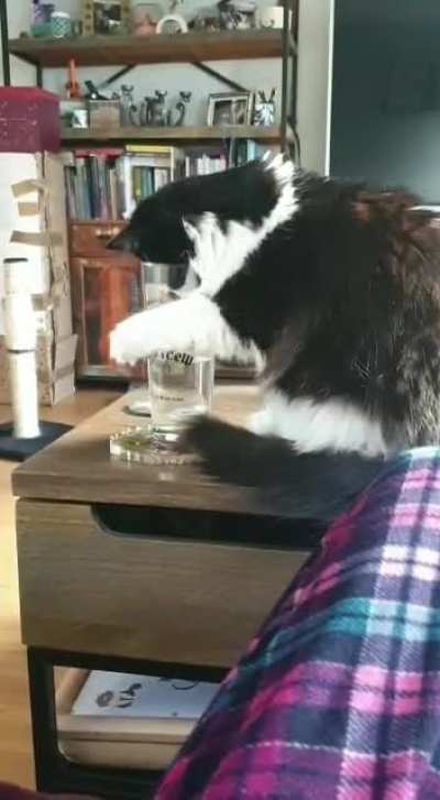 Water is fascinating