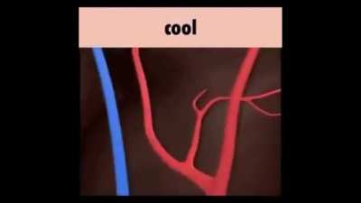 cool
