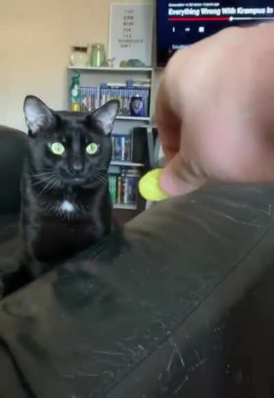 He&rsquo;ll pass on the pickle