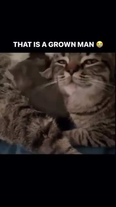 suspicious wunk