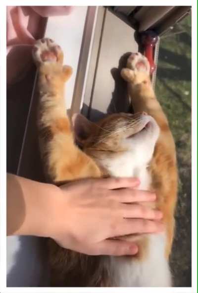 sun sleep