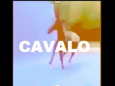CAVALO