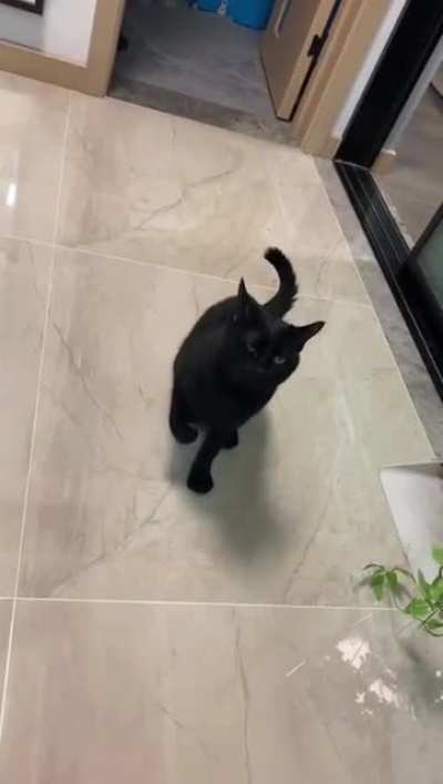 Dancing?