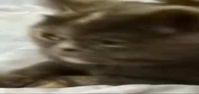 u/savevideo cursed daily routine