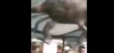 Video mais incre&iacute;ble do mundo