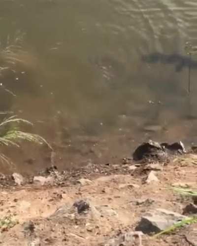 Вот молодец, рыбачит и без водки сразу видно за ЗОЖ