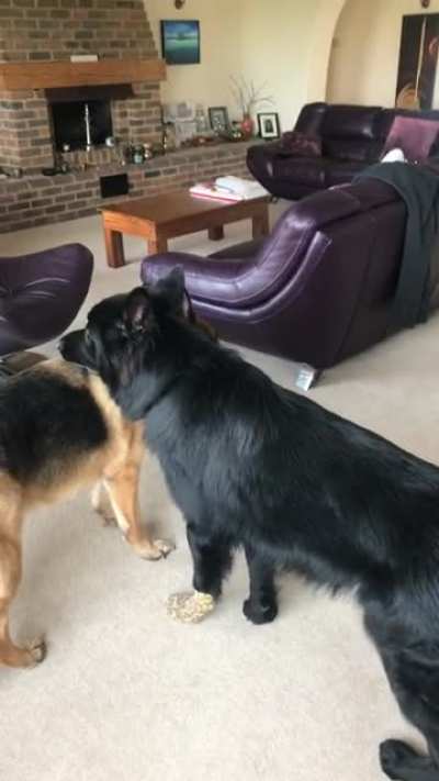 big sis aint in the mood