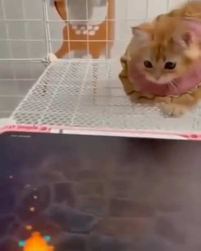 Not now, Karen. I&rsquo;m debugging.