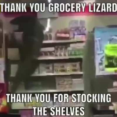 Wholesome reptile🤗🤗