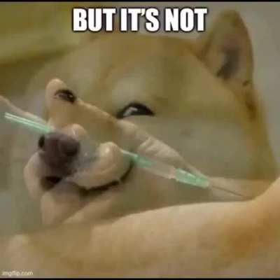 Wow such erection