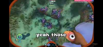 Yeah, those're the exploding fish
