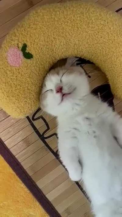 Sleeping