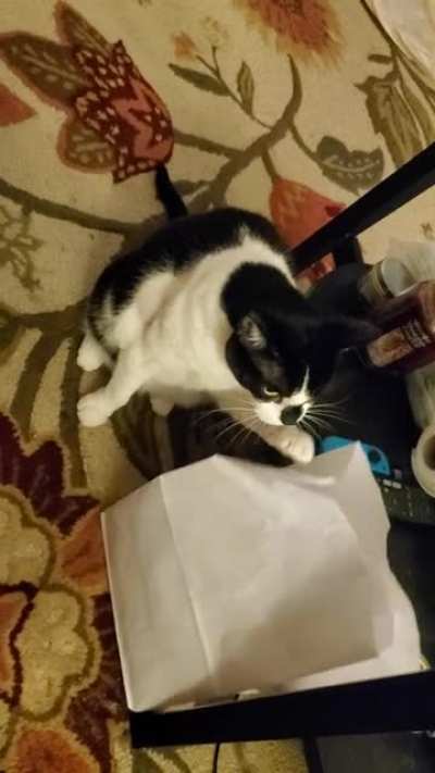 Bag
