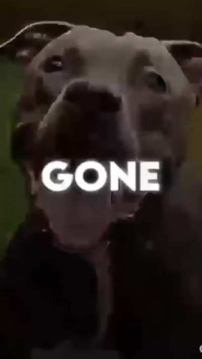🗣️🗣️it&rsquo;s gone🗣️🗣️