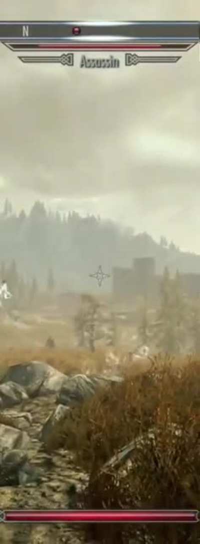 Some things I don&rsquo;t get in Skyrim, this is one of them