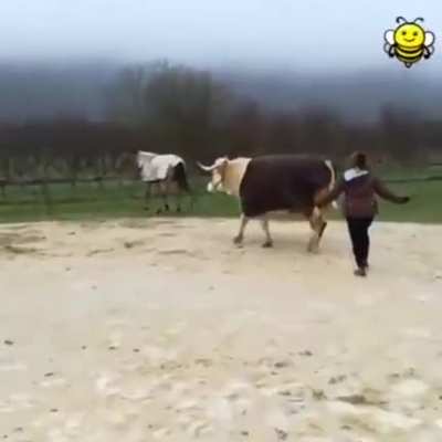 someone is really enjoying the training