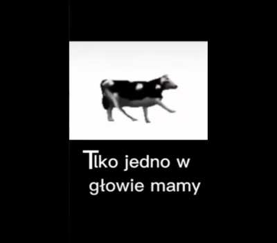 old but gold