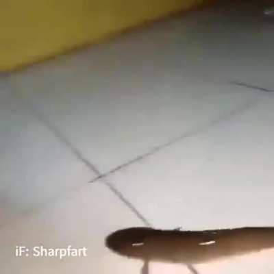 e s