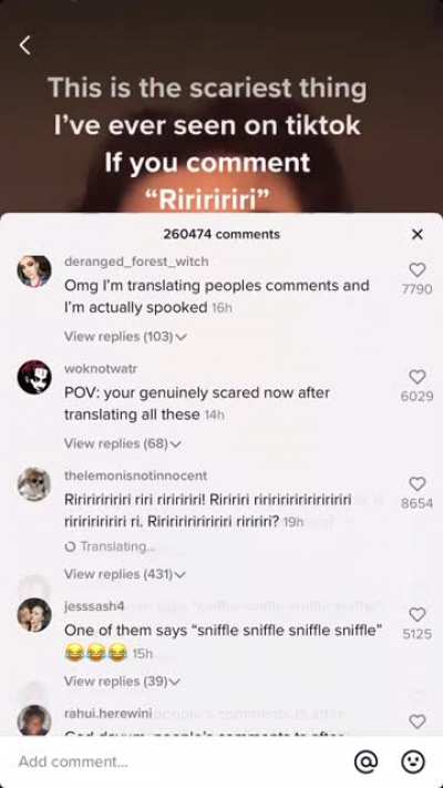 What&rsquo;s up with the translation feature