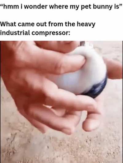 Loser city ball