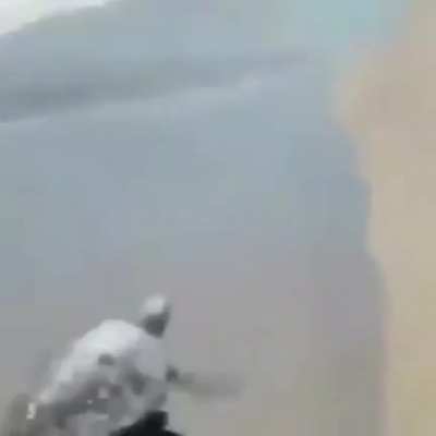 Just a normal turtle&hellip;