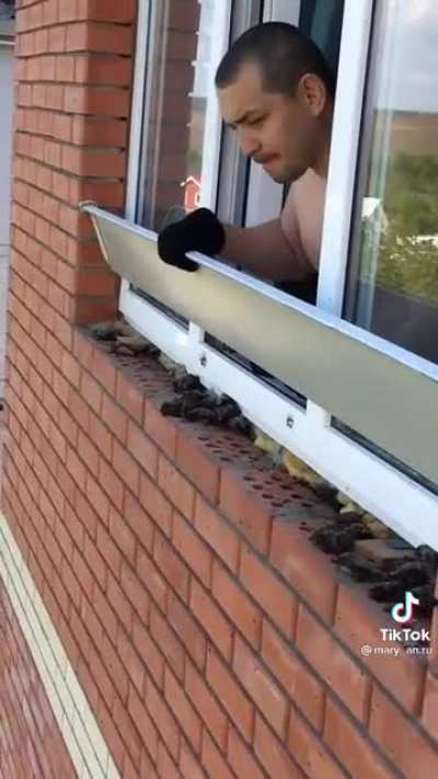 Hmm, what's under my window?