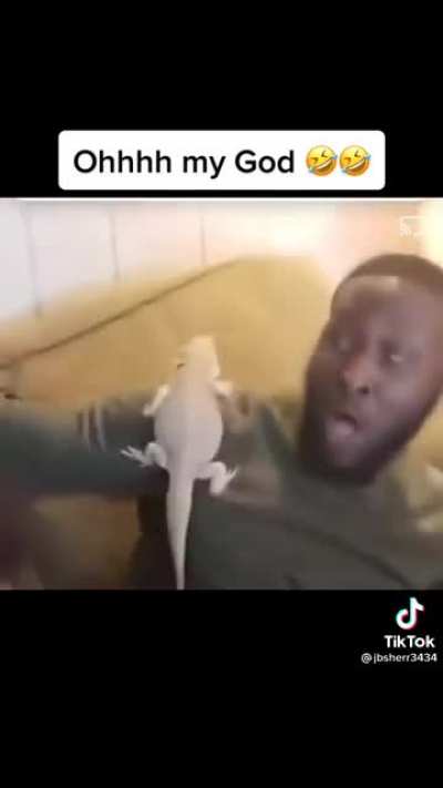 "Oh my gawhd!"