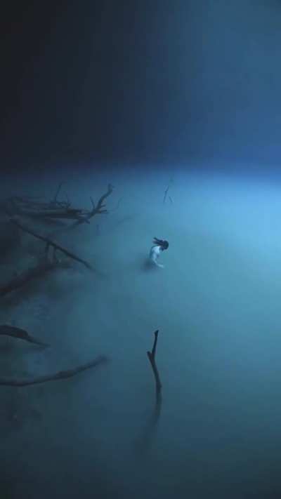 The abyss around a brine pool