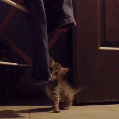 WE&rsquo;VE BEEN SEEN. SCATTER!!!