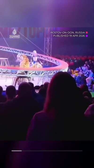 Who's the Tiger King now!