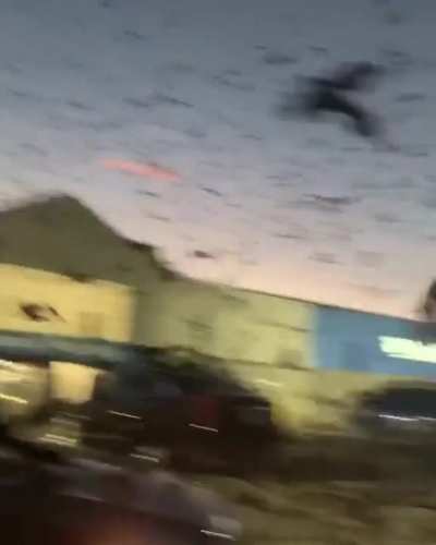 Did someone put "Invasion of Carnivorous Birds" in the 2023 apocalyptic pool?