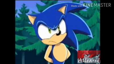 Sonic brabo
