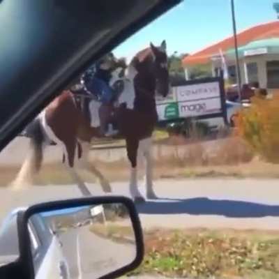 This horse gets it