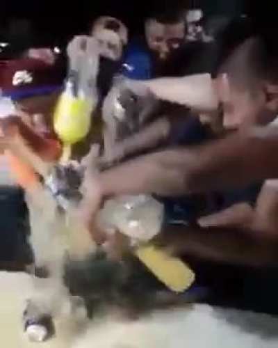 Wild party