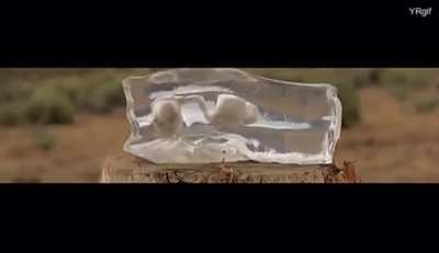 UnSeEn FoOtAgE oF tHe AbUsE aT JeLlO FaRmS… BiG JeLlo WaNtS ThIs ViDeO ReMoVeD FrOm ThE InTeRnEt