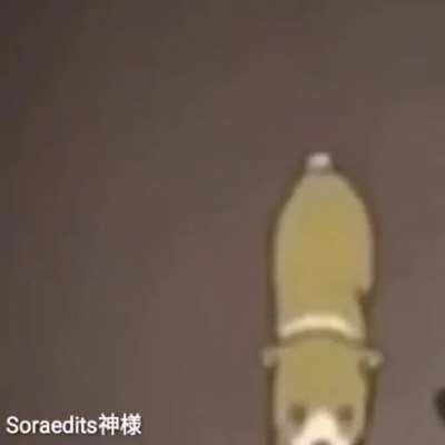 Esse &eacute; seu &iacute;dolo?
