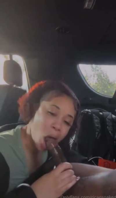 Car Top