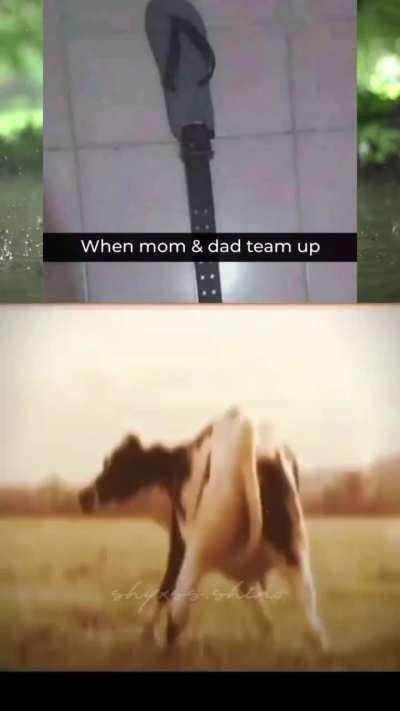 Meme