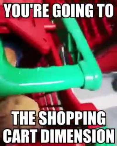 You're going to the shopping cart dimension