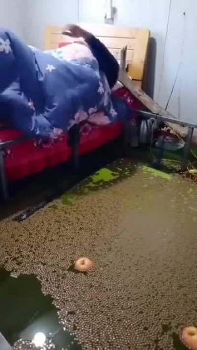 Tipik &Ouml;ğrenci Evi