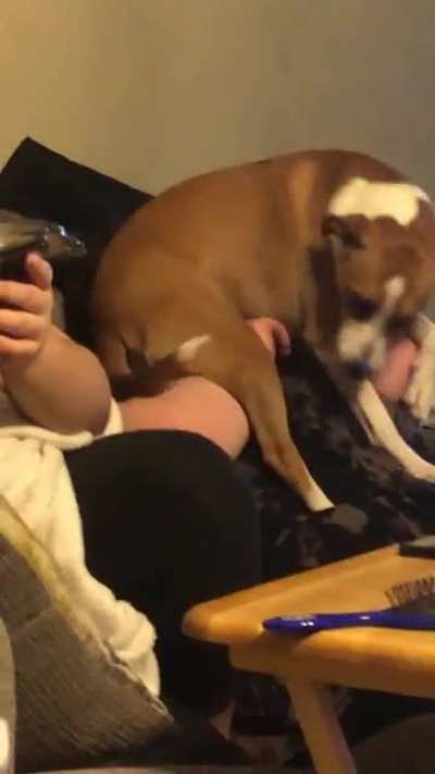 My sister&rsquo;s dog sat on her face