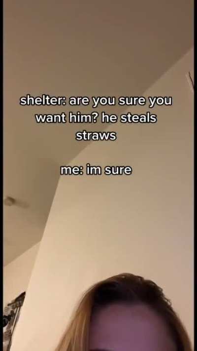 He's a little straw thief